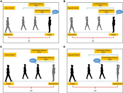 Effect of exercise intervention on social distance in middle-aged and elderly patients with chronic low back pain